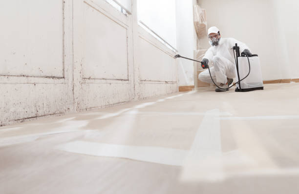 24/7 Emergency Mold Remediation experts in Livingston, TN