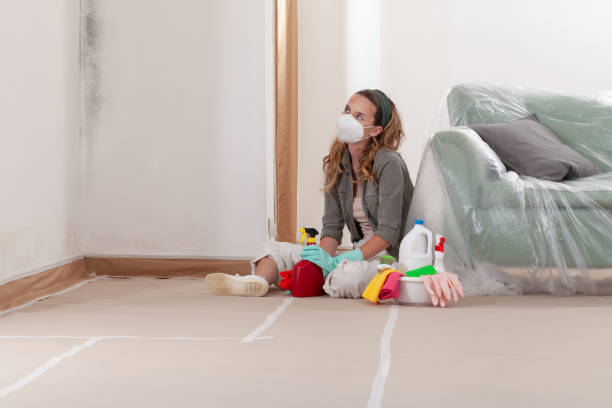 Reliable Mold Remediation contractor in Livingston, TN by WQB Mold Removal